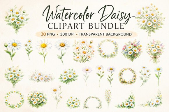 30 Watercolor Daisy Clipart Bundle: Strategic Design Value for Creative Professionals