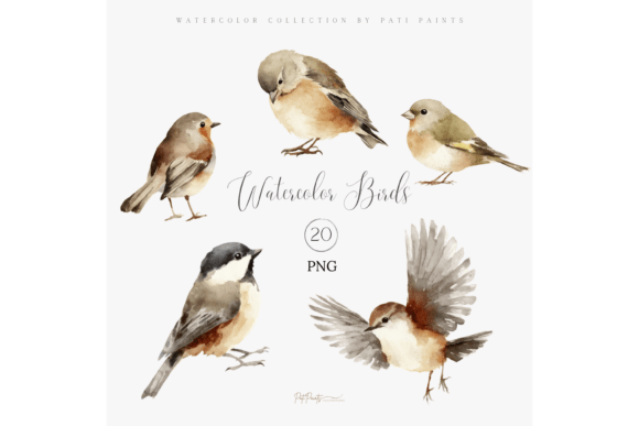 Watercolor Bird Clipart Bundle: Avoid Common Mistakes and Use It Like a Pro