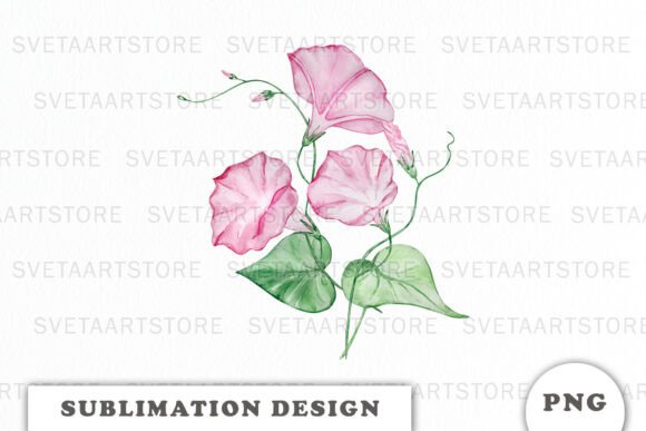 Watercolor Morning Glory Flowers PNG: A Versatile Design Asset for Creative Projects